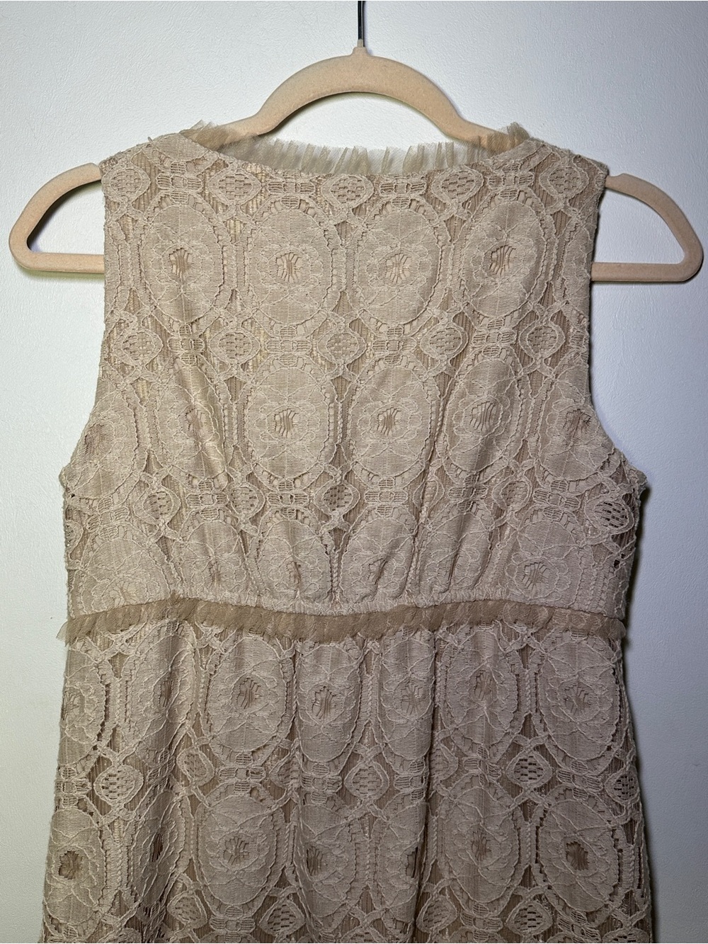 Ronnie Nicole Beige Lace Sleeveless V-Neck Mini Dress Size 6P Wedding Party - Picture 8 of 8
